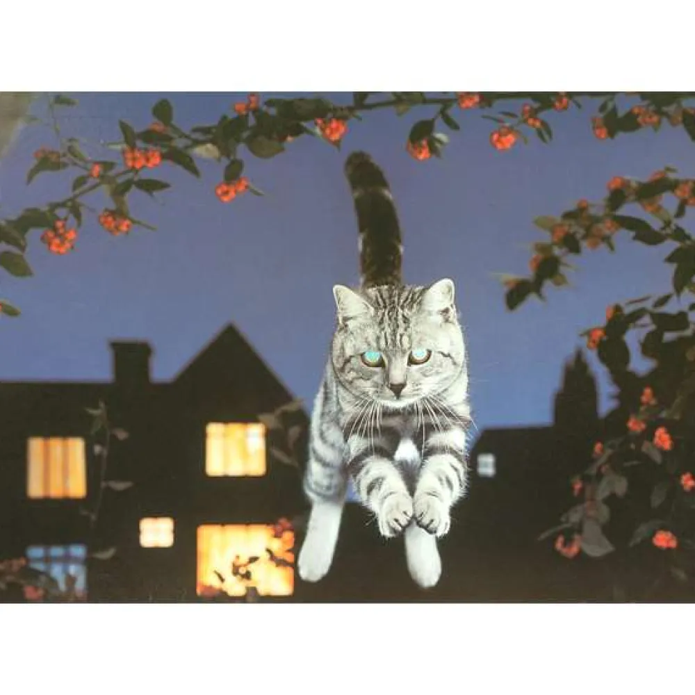 a_leap_in_the_dark___piec_0.webp Clearance A Leap In The Dark – 1000 Piece Jigsaw Puzzle Children's Wooden Puzzles