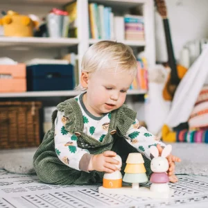 Online AAA Certified Forest Stacker Wooden Puzzles And Activity Toys | Traditional Wooden Toys
