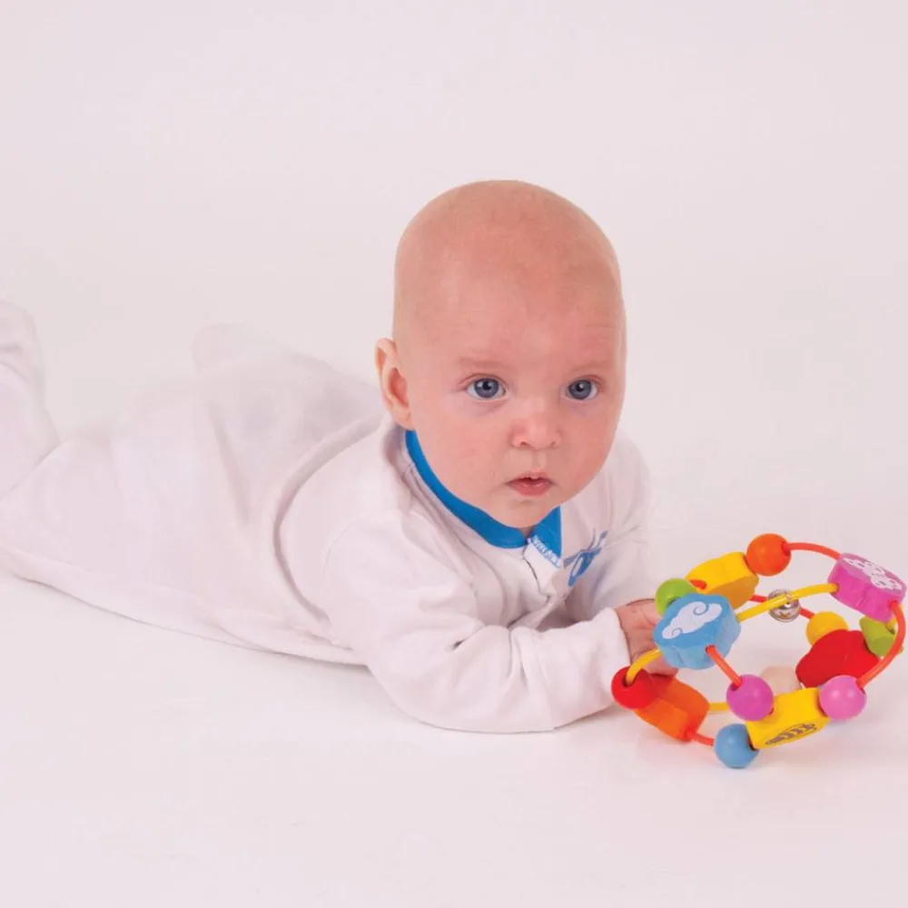 activity_ball_1.webp Best Activity Ball Outdoor Garden Toys