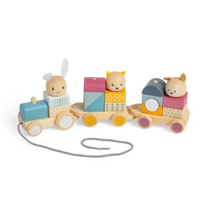 Best Activity Pull Along Train Wooden Push And Pull Along Toys