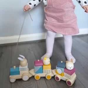 Best Activity Pull Along Train Wooden Push And Pull Along Toys