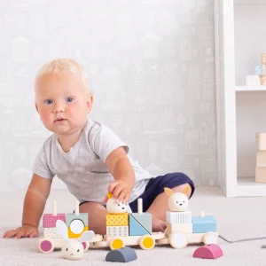 Best Activity Pull Along Train Wooden Push And Pull Along Toys