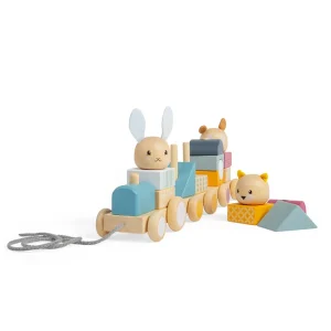 Best Activity Pull Along Train Wooden Push And Pull Along Toys