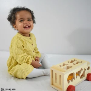New Animal Shape Lorry Wooden Animal Toys | Wooden Push And Pull Along Toys