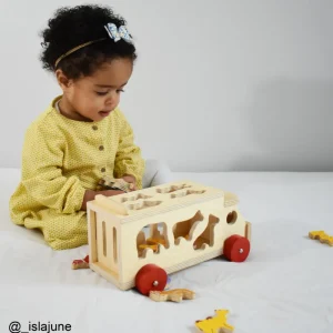 New Animal Shape Lorry Wooden Animal Toys | Wooden Push And Pull Along Toys