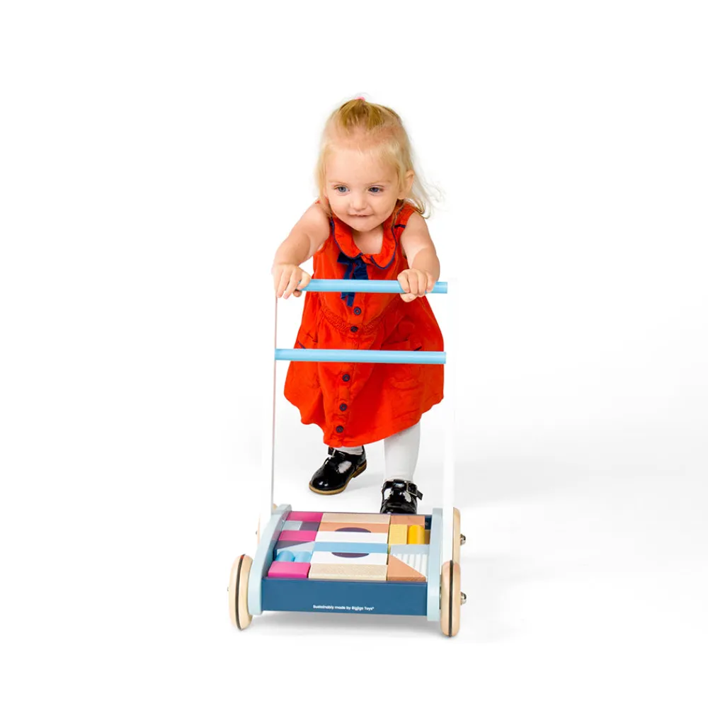 baby_walker_5.webp Clearance Baby Walker Wooden Push And Pull Along Toys | Baby Walkers