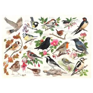 Clearance Birds In My Garden – 1000 Piece Jigsaw Puzzle Children's Wooden Puzzles