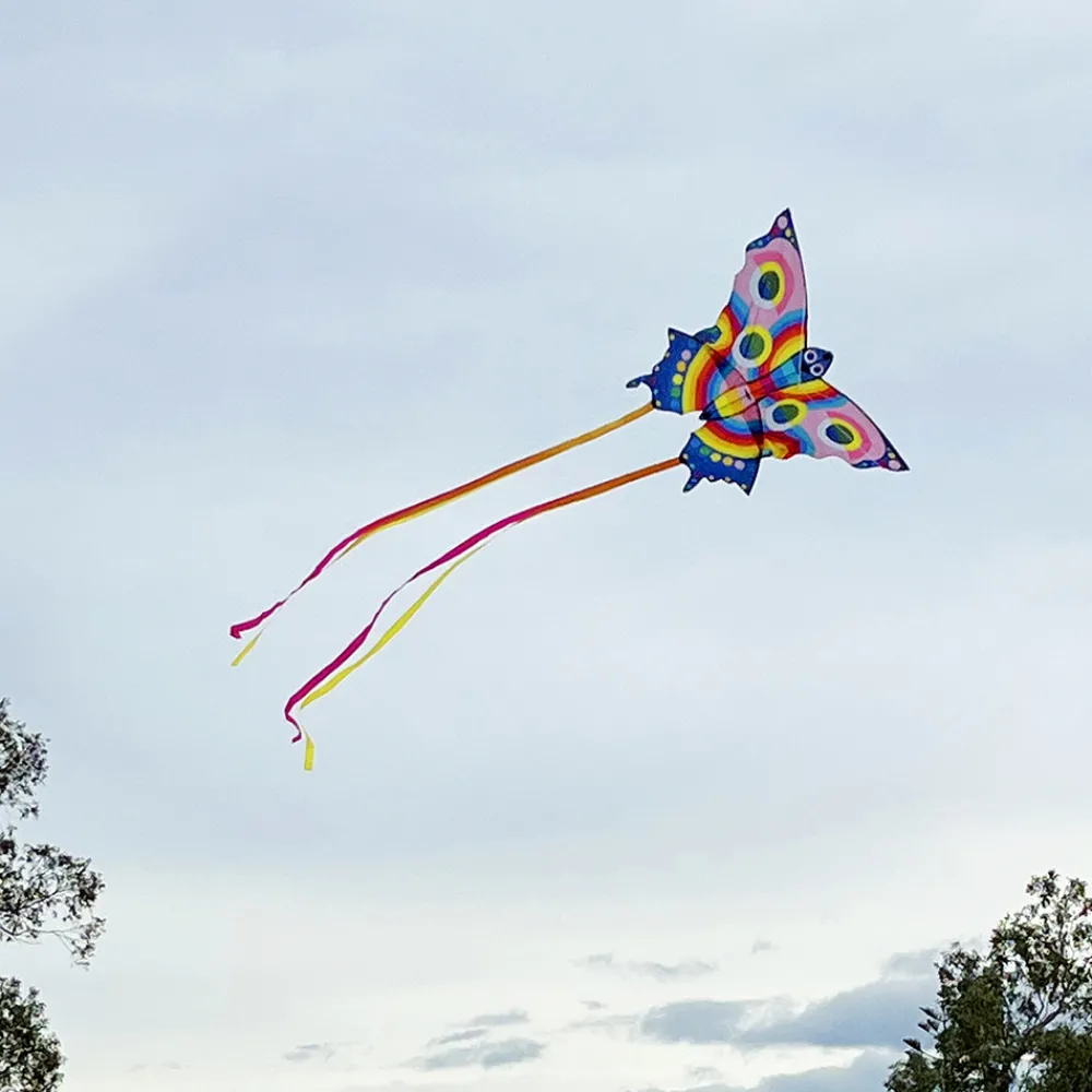 butterfly_kite_4.webp Sale Butterfly Kite Kids Arts And Crafts Sets For Kids