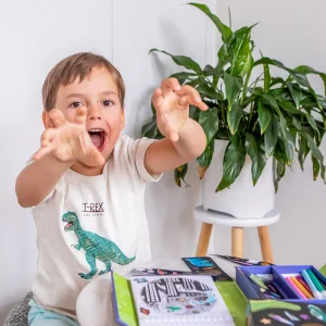 Clearance Colouring Set – Dinos In Space Kids Arts And Crafts Sets For Kids
