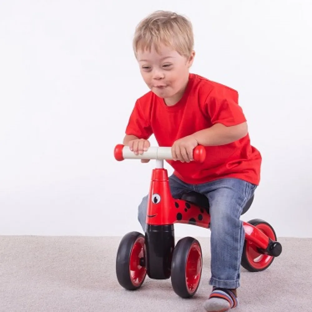 diditrike__ladybird_1.webp Fashion Diditrike – Ladybird Ride On Cars