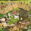 Sale Duck, Duck, Goose – BIG 250 Piece Jigsaw Puzzle Children's Wooden Puzzles