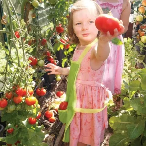 Best Garden Apron Outdoor Garden Toys