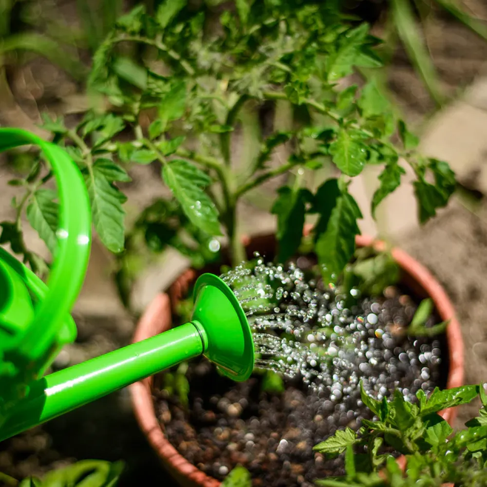 gardening_starter_pack__g_4.webp Outlet Gardening Starter Pack – Green Kids Outdoor Garden Toys | Kids Toy Bundles