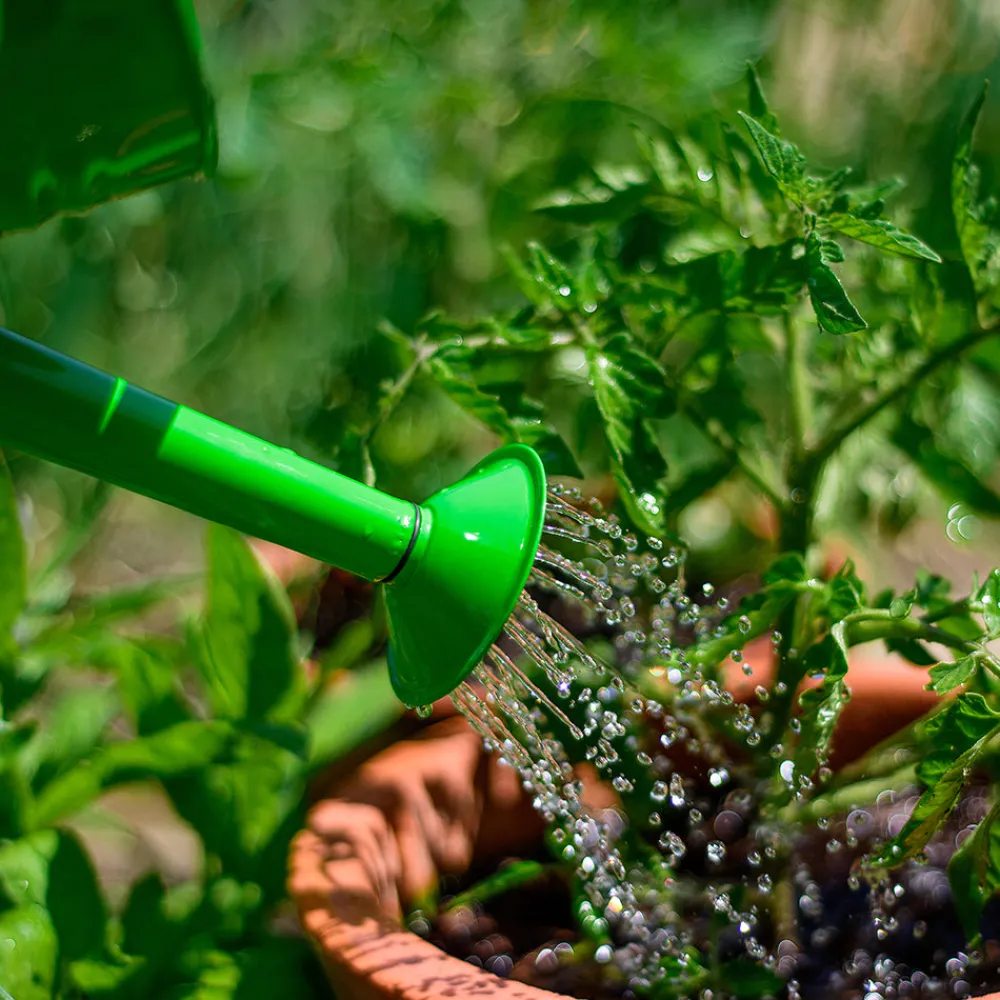 green_watering_can_8.webp Clearance Green Watering Can Outdoor Garden Toys