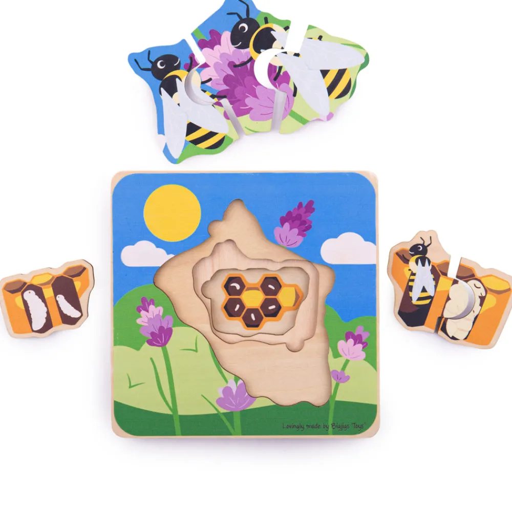 lifecycle_layer_puzzle__h_1.webp New Lifecycle Layer Puzzle – Honeybee Wooden Puzzles And Activity Toys | Children's Wooden Puzzles