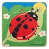 Online Lifecycle Layer Puzzle – Ladybug Wooden Puzzles And Activity Toys | Children's Wooden Puzzles