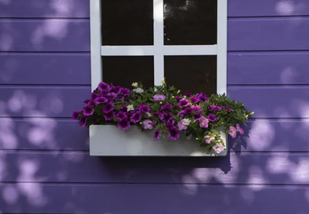 little_rascals_additional_1.webp Sale additional Window Panel Kid’s Playhouses & Tents