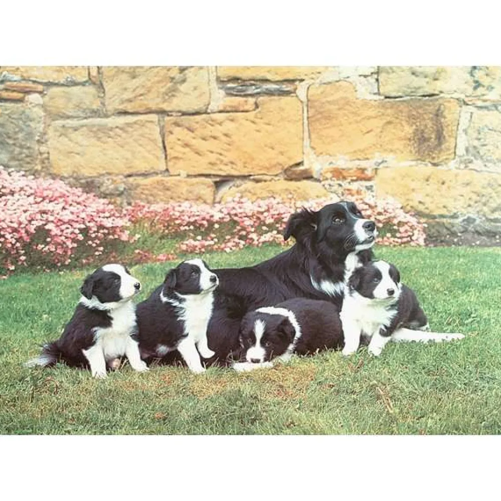 mothers_pride___piece_jig_0.webp Sale Mother’s Pride – 1000 Piece Jigsaw Puzzle Children's Wooden Puzzles