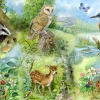 Best Nature Study – BIG 250 Piece Jigsaw Puzzle Children's Wooden Puzzles
