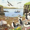 Outlet Puffin Parade – BIG 500 Piece Jigsaw Puzzle Children's Wooden Puzzles