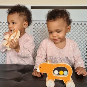 Fashion Push Along Bear Wooden Push And Pull Along Toys