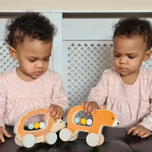 Online Push Along Hedgehog Wooden Push And Pull Along Toys