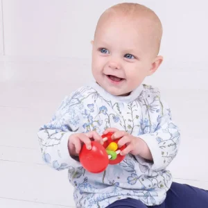 Discount Rainbow Roller Wooden Puzzles And Activity Toys | Activity Toys & Games