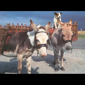Hot Road to Connemara – 500 Piece Jigsaw Puzzle Children's Wooden Puzzles