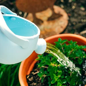 Hot Silicone Watering Can (Eggshell Green ) Outdoor Garden Toys | Gifts For 7 Yr Olds
