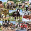 Hot The Heavy Mob – 1000 Piece Jigsaw Puzzle Children's Wooden Puzzles