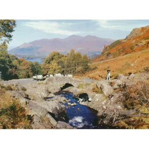 Best Thirsty Work – 1000 Piece Jigsaw Puzzle Children's Wooden Puzzles