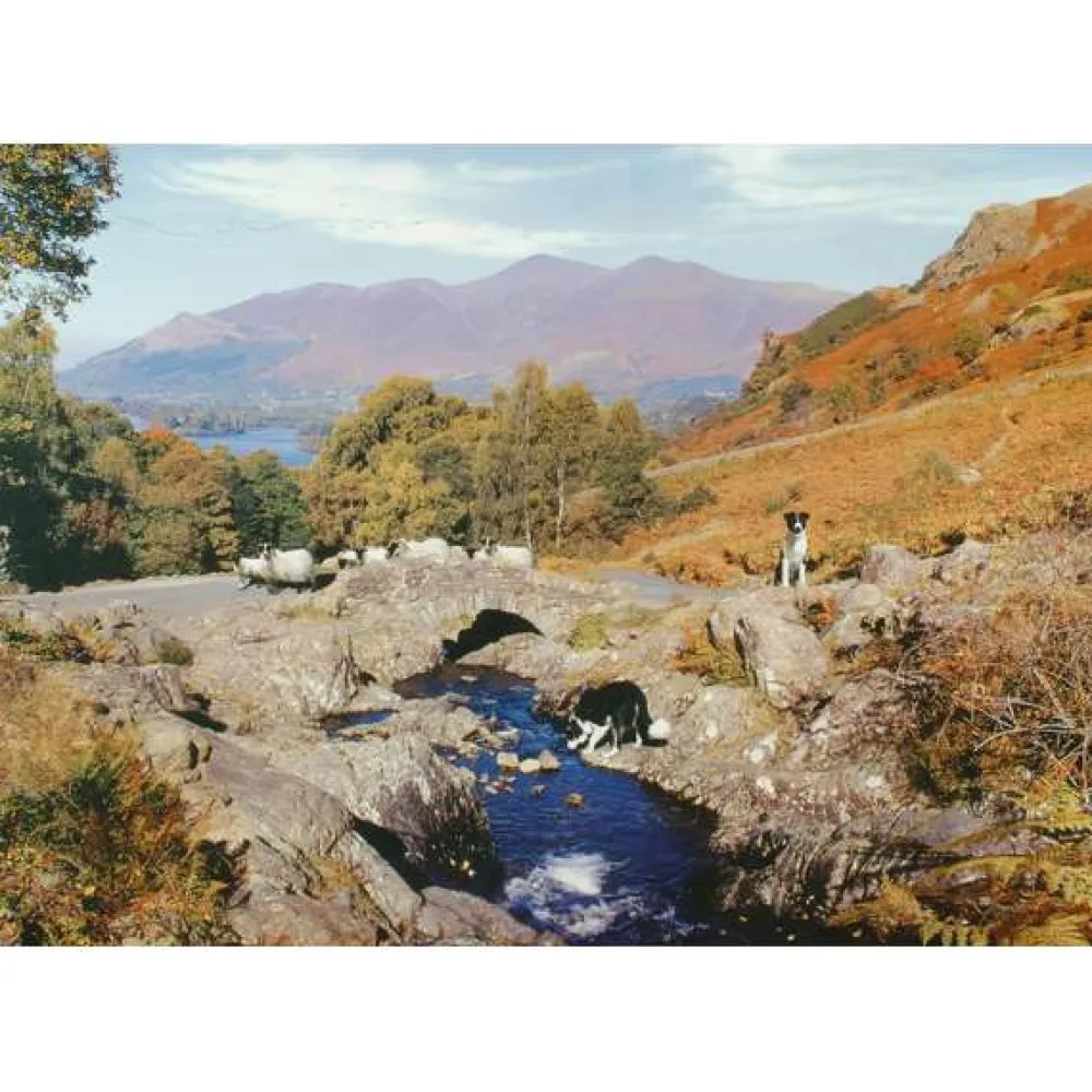 thirsty_work___piece_jigs_0.webp Best Thirsty Work – 1000 Piece Jigsaw Puzzle Children's Wooden Puzzles