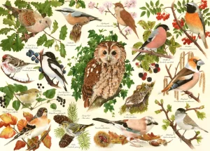 Fashion Woodland Birds – BIG 500 Piece Jigsaw Puzzle Children's Wooden Puzzles