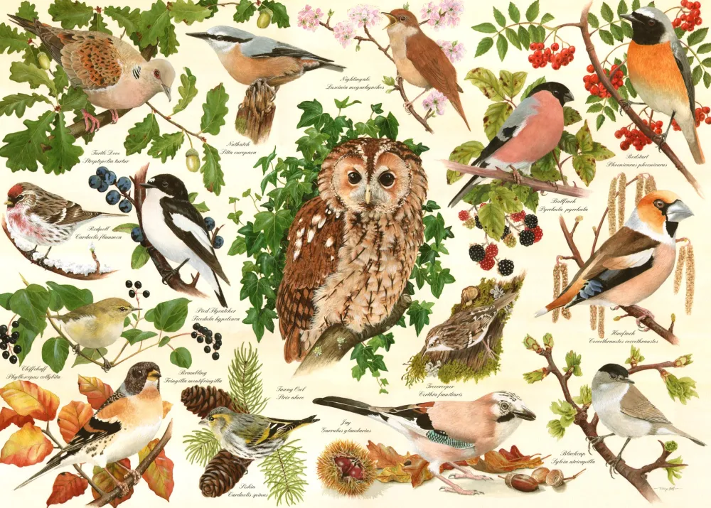 woodland_birds__big__piec_0.webp Fashion Woodland Birds – BIG 500 Piece Jigsaw Puzzle Children's Wooden Puzzles